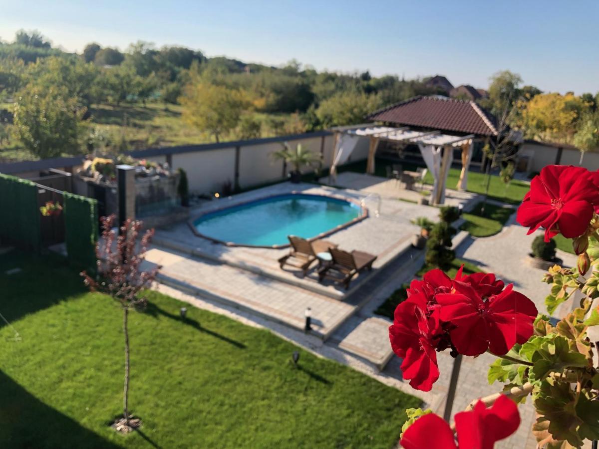 Kovac Residence Zrenjanin Luaran gambar