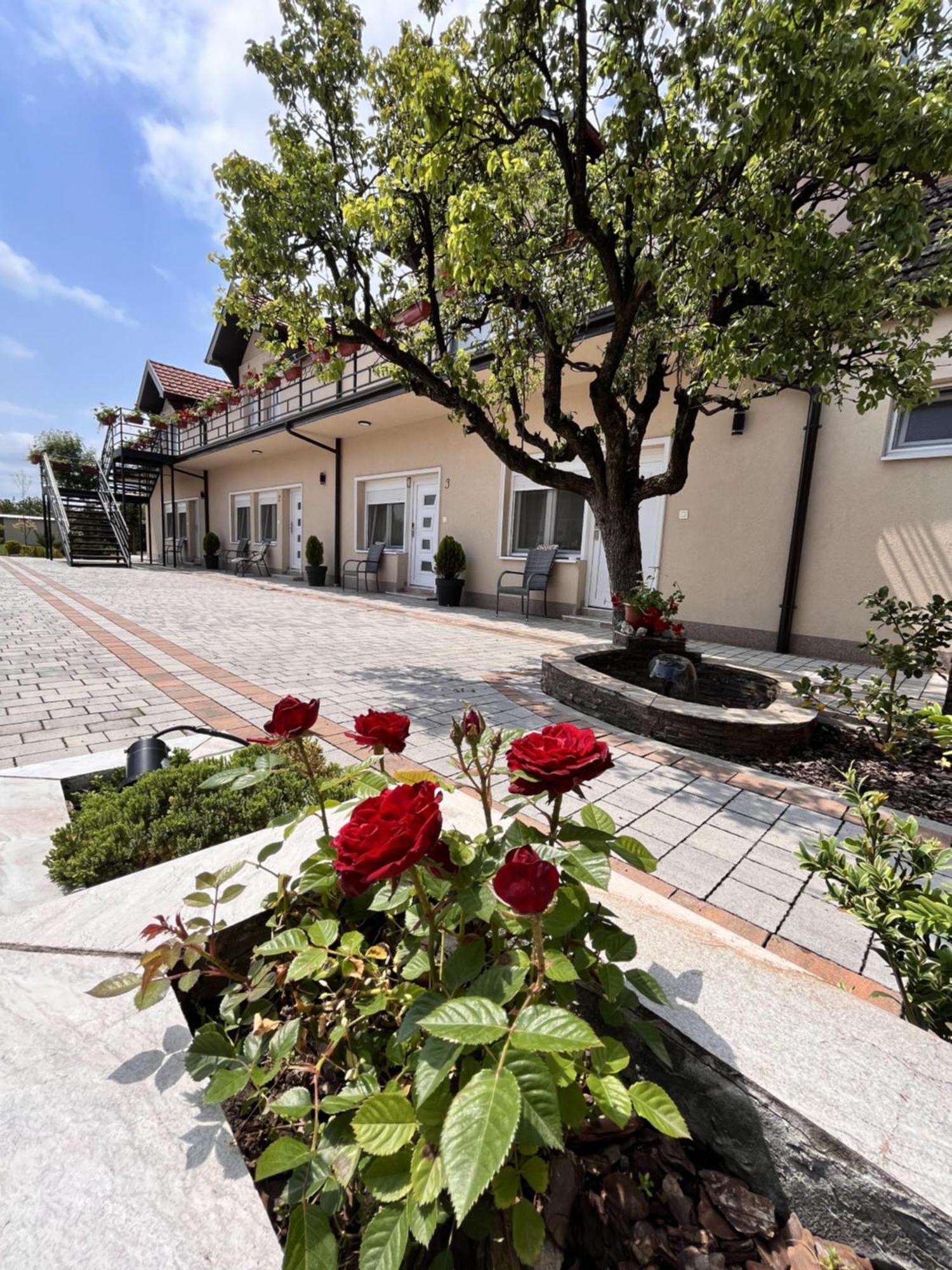 Kovac Residence Zrenjanin Luaran gambar